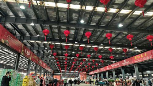 精品区国产,精品区国产生态圈概览