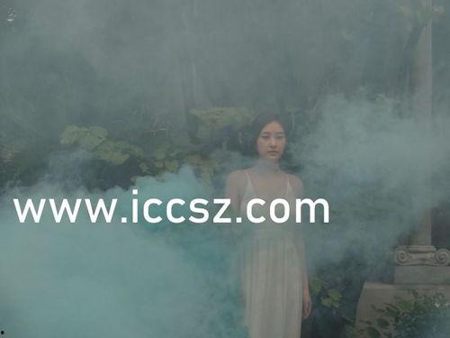 国产精品中文字幕在线观看